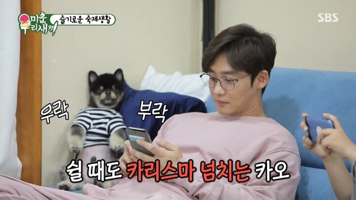  [이태성] 부인/결혼/사별/이혼/나이/싱글대디/아들/엄마/동생/카오/강아지/인스타