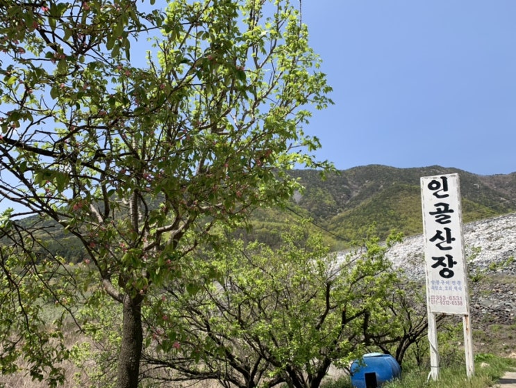  밀양 맛집 인골산장