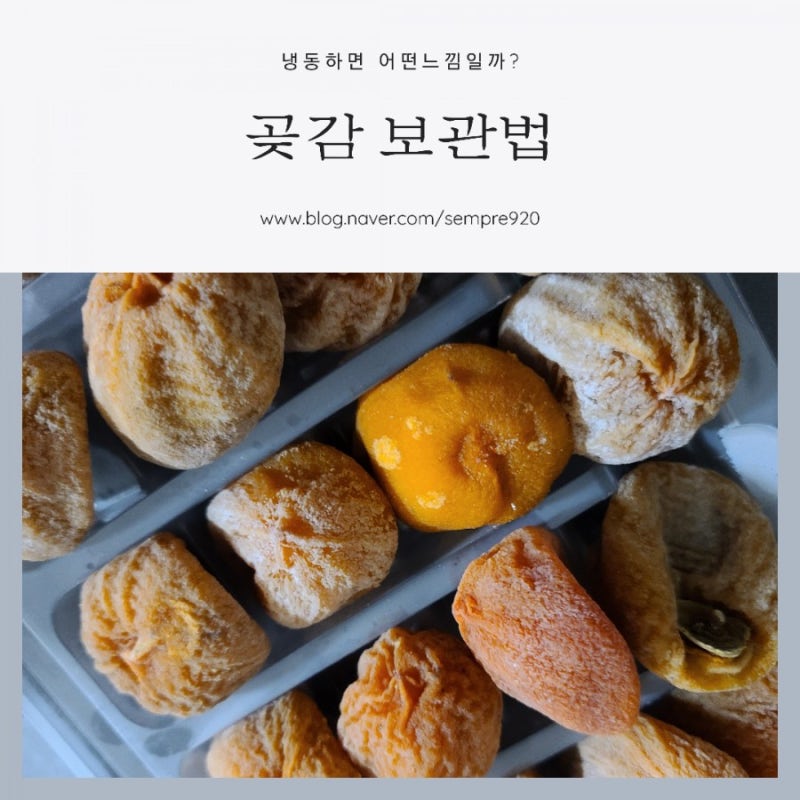 곶감 보관방법 무조건 냉동보관 (얼리면 어떤맛일지, 곶감칼로리,효능 등 정리) : 네이버 블로그 곶감 보관방법 무조건 냉동보관 (얼리면 어떤맛일지, 곶감칼로리,효능 등 정리) : 네이버 블로그