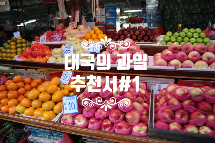  태국의 대표 열대 과일 추천서
