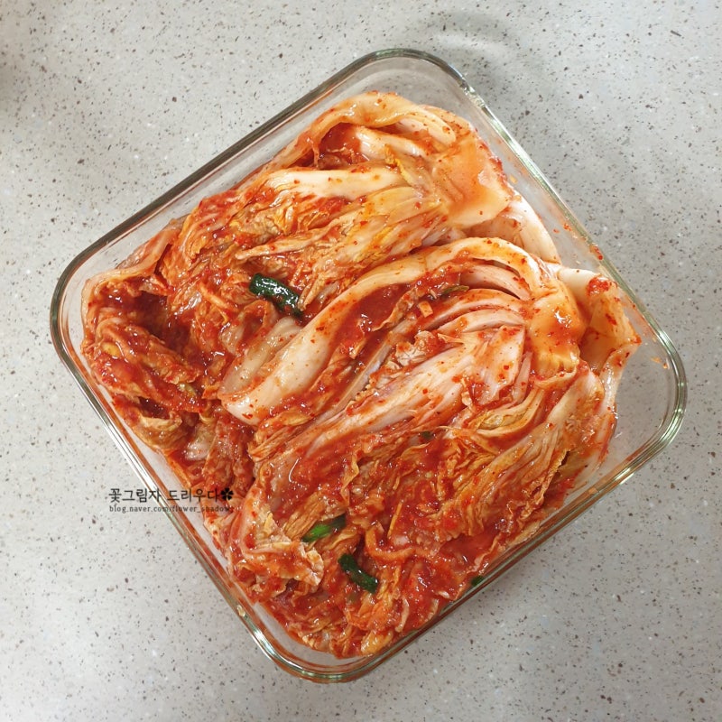 종가집 전라도 포기김치 1kg 김치 배추 양 맛 가격 + 쪽파김치 에피소드