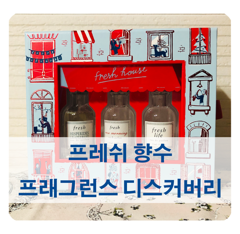  [프레쉬 향수 추천] 자몽, 로즈, 프레시라이프 베스트 3종 리뷰