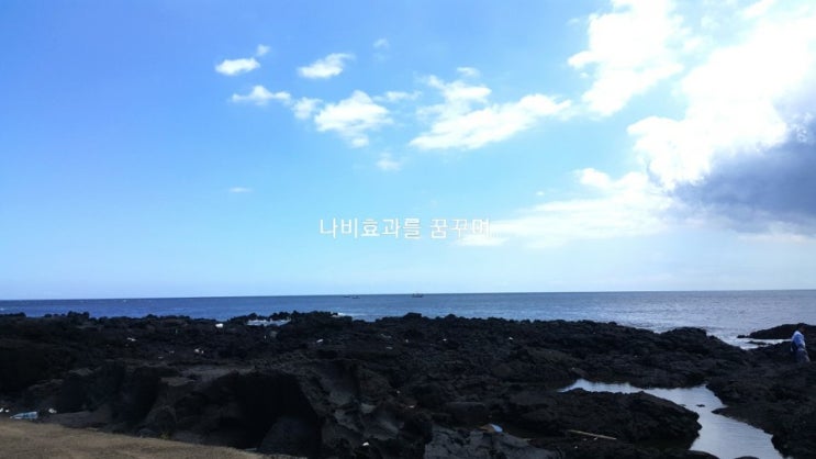  장 건강을 돕는 10가지 방법