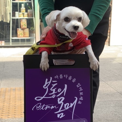  보통의몸매에 놀러온 광복이 행복이를 소개해요c