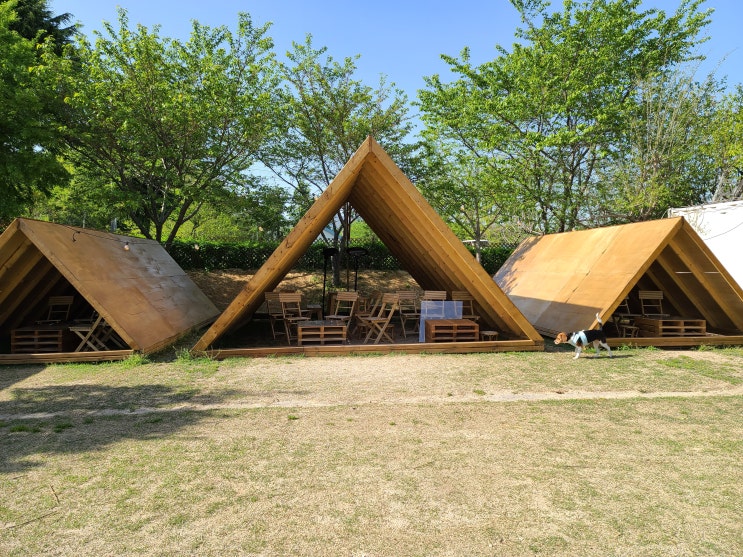  부산애견카페 로앙에 잭슨이랑 주말 나들이 다녀왔어요