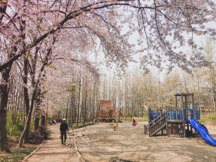  [영종도 가볼만한곳] 영종진공원 숲놀이터, 강추