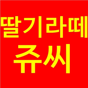  쥬씨딸기라떼가격