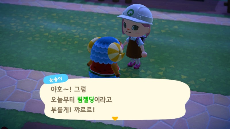 동숲 모여봐요 동물의숲 27, 28일(고옥이와 대화하기, 새로운 별명과 분실물) : 네이버 블로그