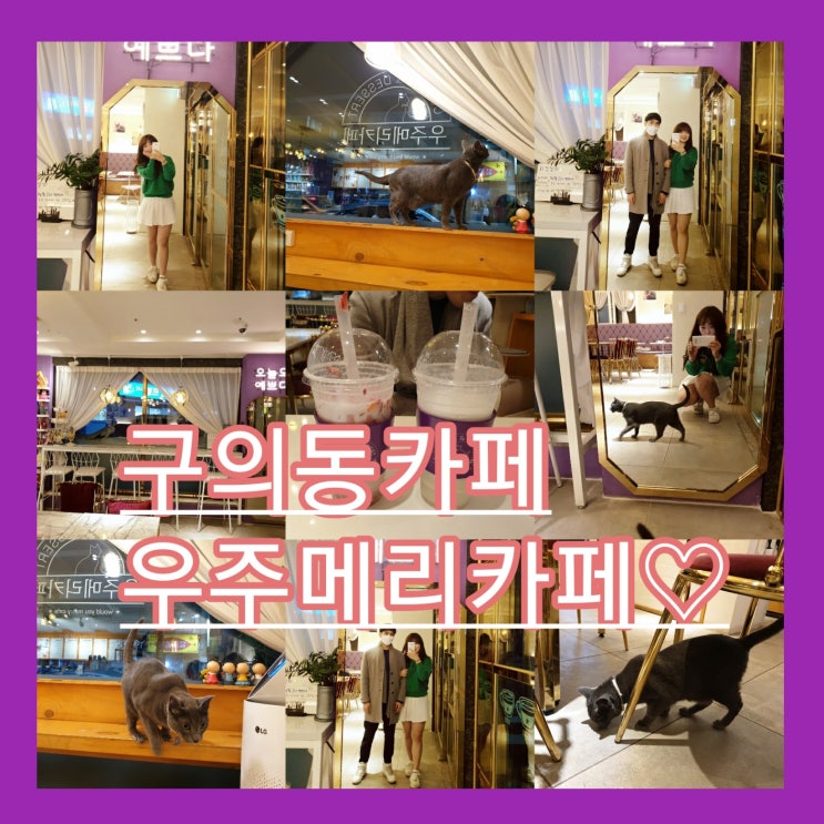  구의동 카페 고양이가 있는 우주메리카페 후기