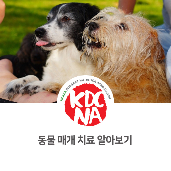  [반려동물과 연관된 일] 동물매개치료에 대해 알아보자_163