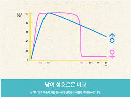  여성의 성호르몬은 어떻게 작용할까 - 여성의 성호르몬 종류 기능 2차성장