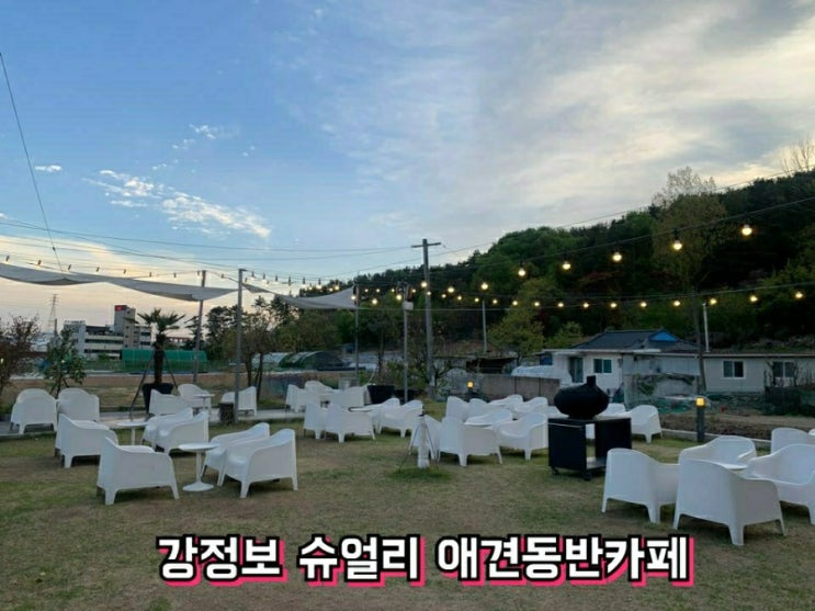  강정보 애견동반카페 슈얼리, 제주느낌의 이쁜카페