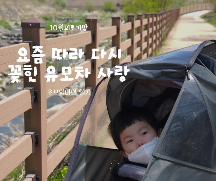  요즘 따라 유모차에 다시 꽂힌 그대는 30개월 아기인데..