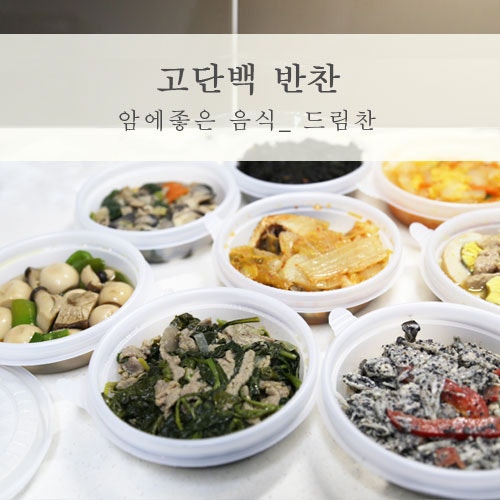 행복반찬 드림찬 암환자식사(CAN) 고단백 리뷰