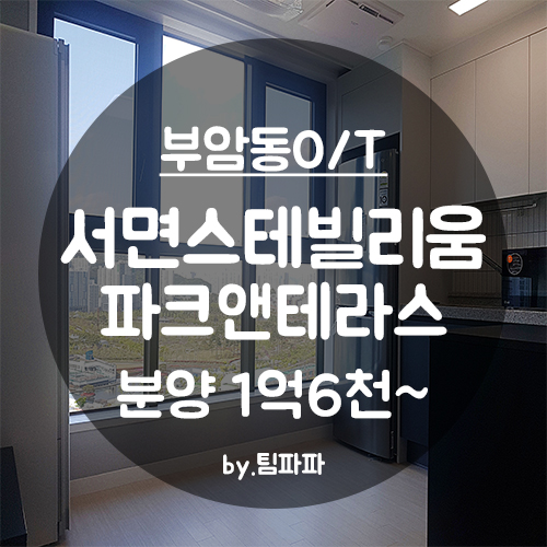  [부산 서면/부암동] 신축 투룸 테라스 오피스텔 서면스테빌리움 파크앤테라스 분양 임대