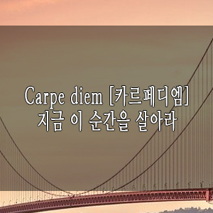  [필사하기좋은책] 죽은시인의사회_열린교육의 카르페디엠!