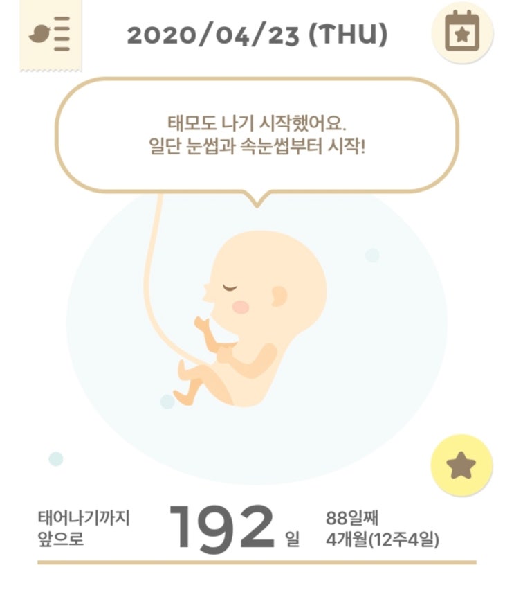  임신 12주차 입덧지옥은 현재진행형.... 1차 기형아검사 성공