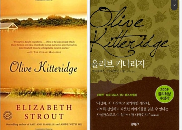  Olive Kitteridge (서울도서관 eBook)