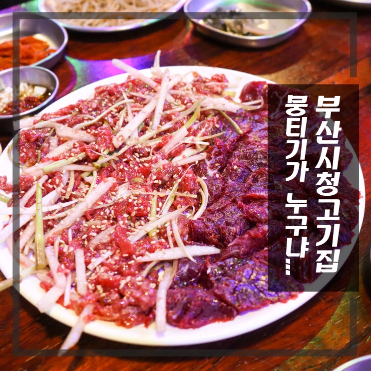  부산시청 맛집 소고기 한우뒷고기 뭉티기&육회 대도회관