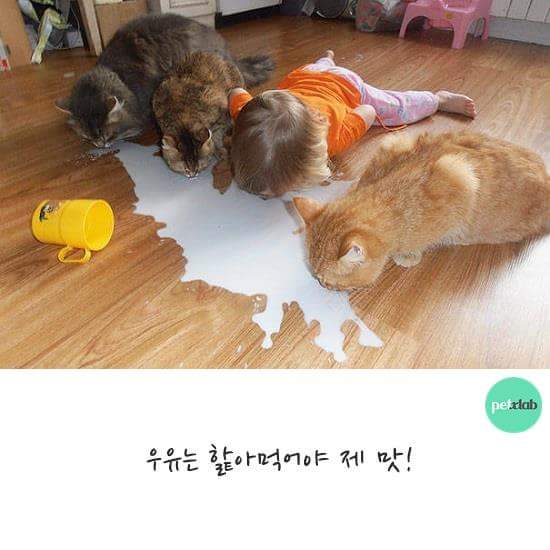  아이와 강냥이