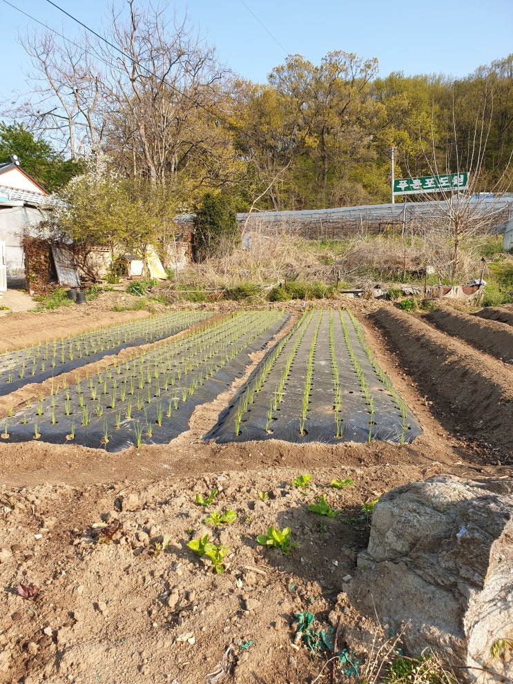  코로나가 바꾼 일상(2)_관악산 산림욕장