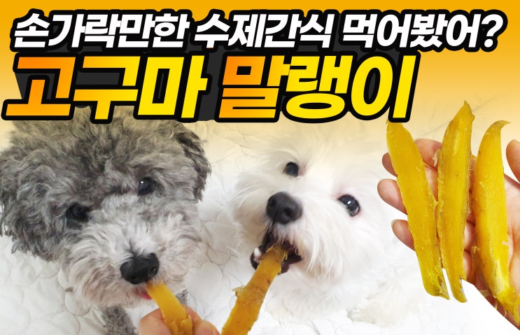  집사생활 수제간식 강아지 고구마 간식 만들기