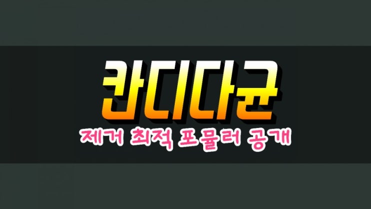 칸디다균 제거를 위한 영양제 조합 및 추천 영양제 소개