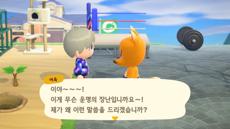 모동숲 공략] 모여봐요 동물의 숲, 여욱 마켓 들어가기 - 박물관 미술품 전시관 : 네이버 블로그