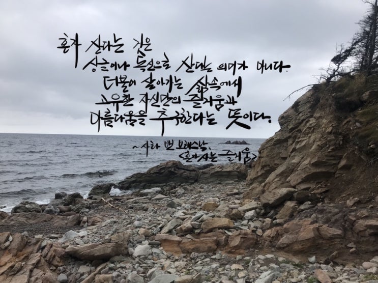  더불어 삶