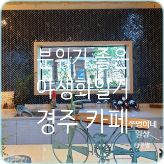  [경주 카페] 야생화 일기 : 여유롭고 한적한 분위기