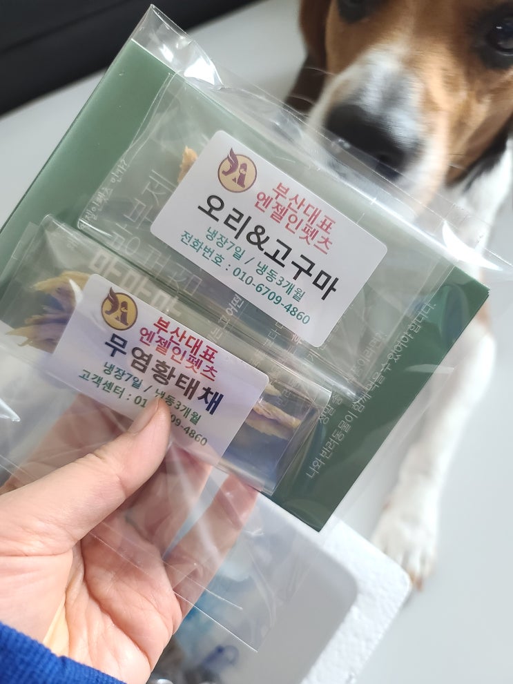  강아지 치석제거에 좋은 뼈 간식은 엔젤인펫츠에서