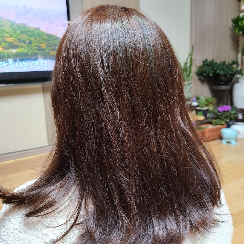 롯데마트 염색약 엘라스틴 살롱드컬러 밝은갈색 염색 후기 / 발색