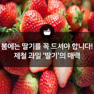 2월의 제철 과일 3선 (한라, 자몽, 딸기 고르는 법) 3