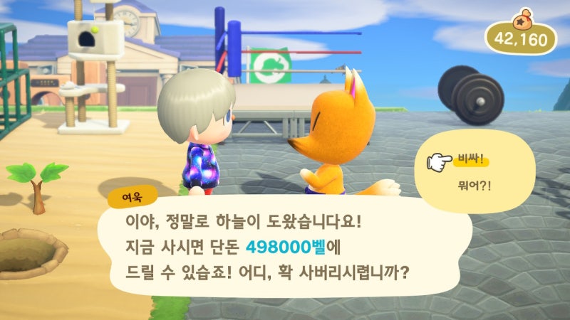 모동숲 공략] 모여봐요 동물의 숲, 여욱 마켓 들어가기 - 박물관 미술품 전시관 : 네이버 블로그