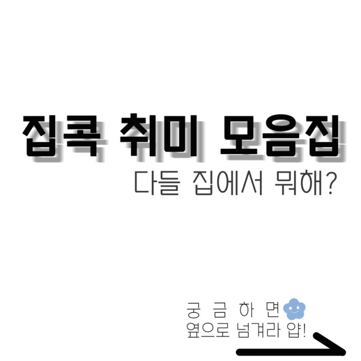 대한민국청소년의회와 알아보는 집콕 취미 모음집