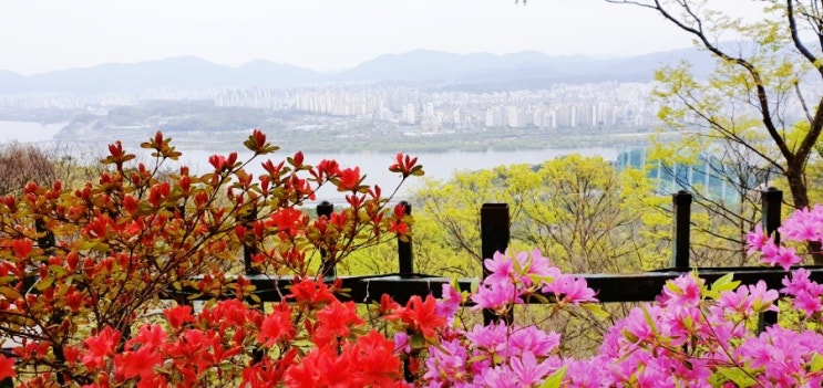 한강 서울시내가 한눈에 보이는 전망좋은 아차산 무료주차팁