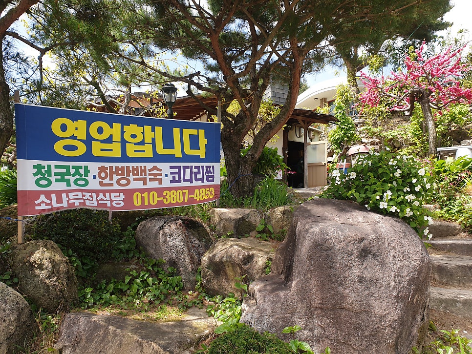 소나무집식당 사진 3