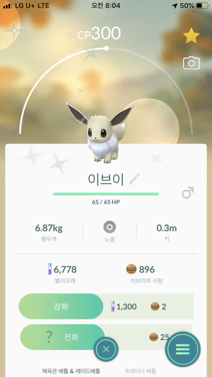  이브이 이로치