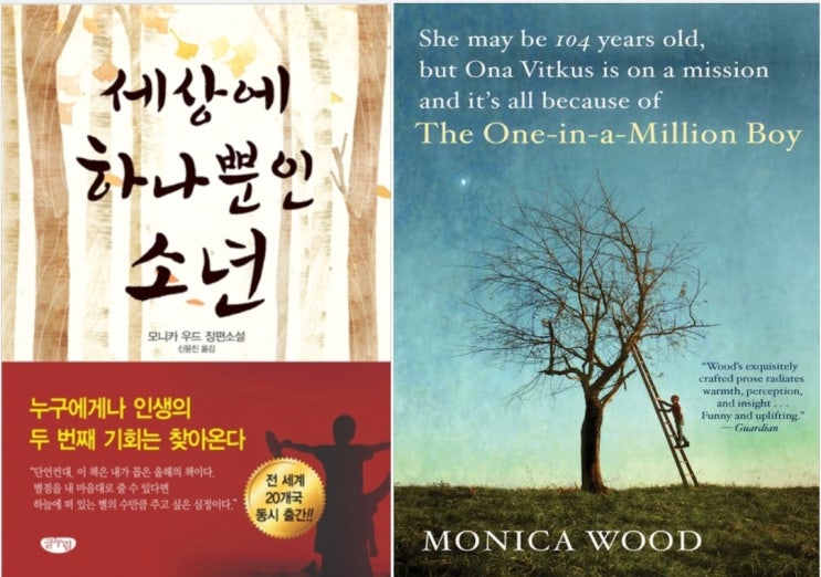  The One-in-a-Million Boy (서울도서관 eBook)