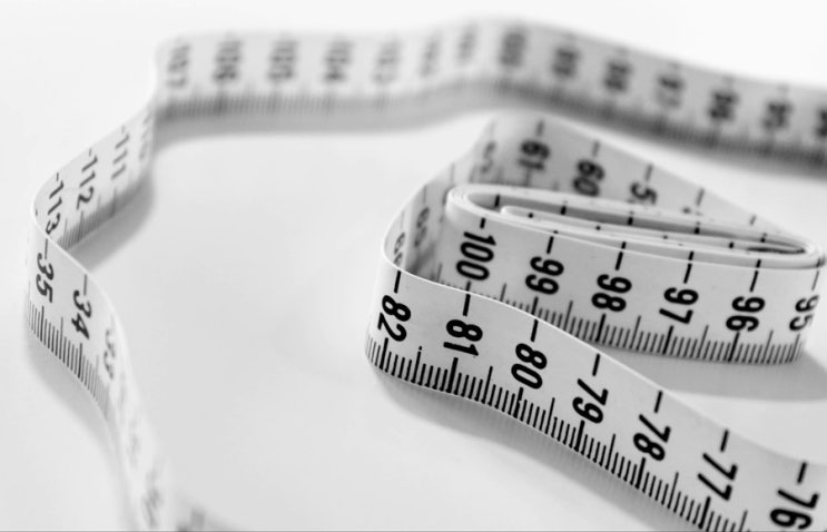  체성분 인바디 그리고 거울, 이제 정말 미룰 수가 없겠구나