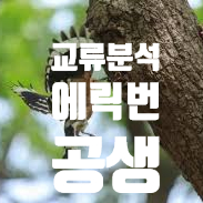  부산 교육강사 에릭번 교류분석 공부 공생 연습 2번째 박정웅 강사