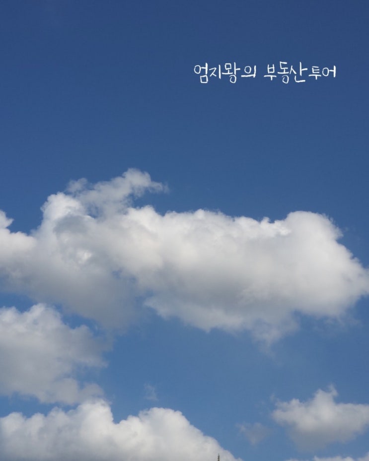 하늘 맑은 날 산책길의 여유 하늘 맑은 날 산책길의 여유