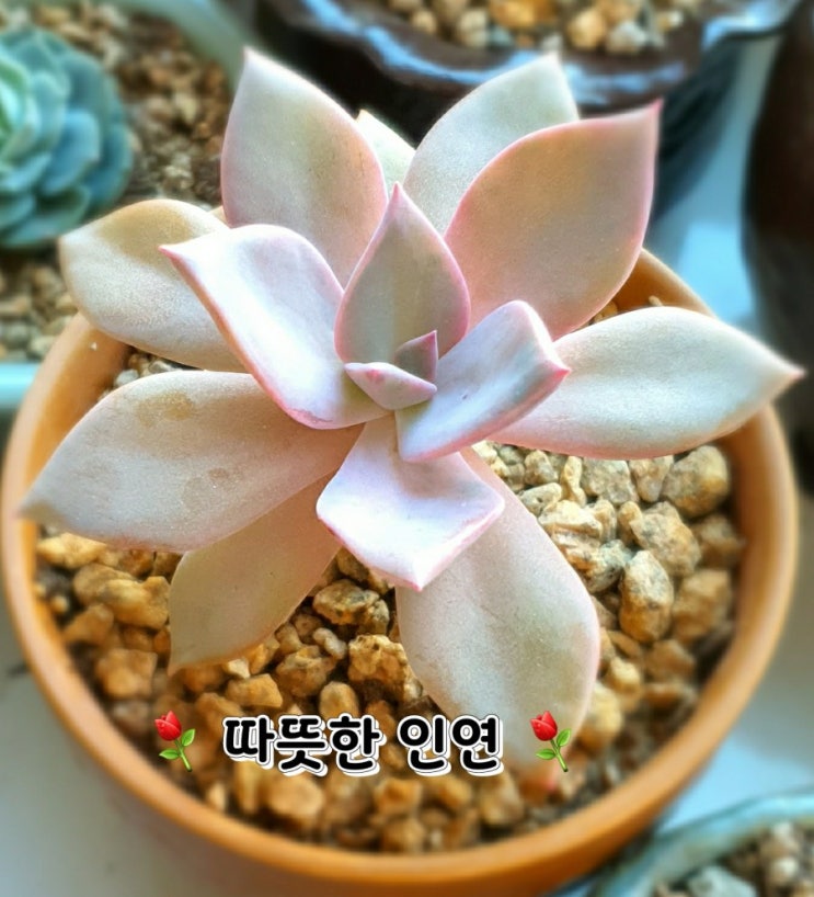 오늘도 힘차게 시작합시다 오늘도 힘차게 시작합시다
