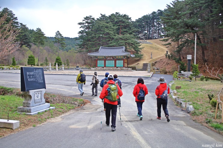 강릉 걷기 좋은 길, 바우길4구간 사천 뚝방길 걷기 강릉 걷기 좋은 길, 바우길4구간 사천 뚝방길 걷기