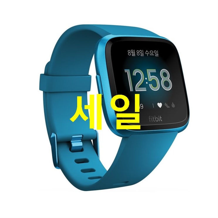 핏빗 버사 라이트 스마트워치 솔직후기 핏빗 버사 라이트 스마트워치 솔직후기