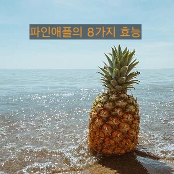 캄보디아 길거리에서 흔한 파인애플 종합 정보, 8가지 효능, 보관법 정리!