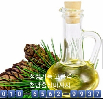  천안 출장마사지(신뢰) 천안 출장 안마(사랑) 천안 출장 타이마사지(믿음) 치앙마이(최선)