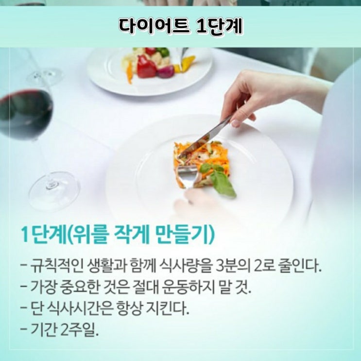 다이어트 11단계 다이어트 11단계