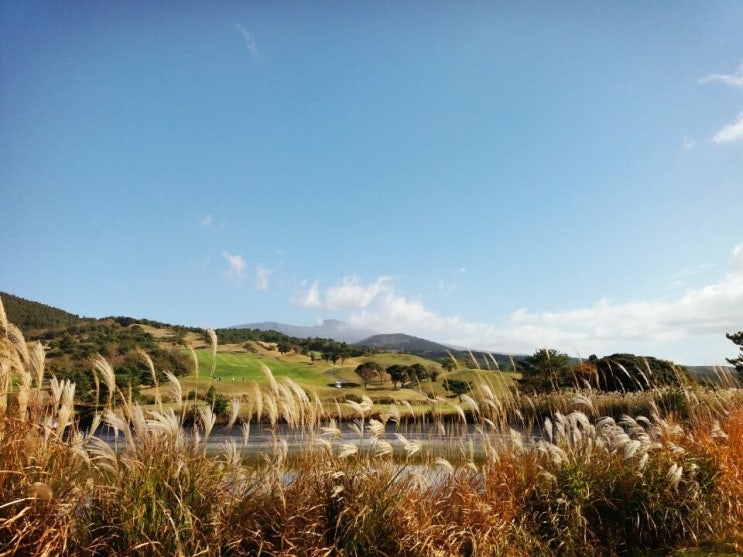 서귀포 바다와 한라산 전망 한눈에 보이는 레이크힐스제주 cc