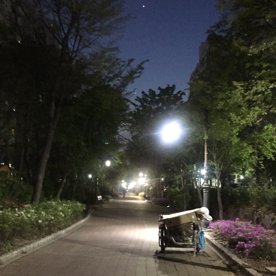 큰맘할매순대국 도당점 사진 6